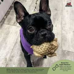 Redbarn Chew-A-Bulls shown for daily oral care during routines.