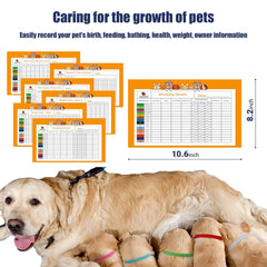 REDDODOU pet ID collars set highlighting newborn identification