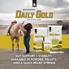 Redmond Daily Gold in stable feeding scene suggests gut comfort during training.