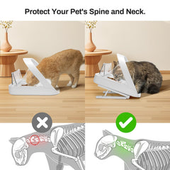 Redoso feeder stand with 20-degree tilt for ergonomic alignment for sensitive cats.