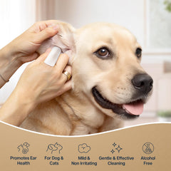 Refreshify vet-formulated wipes use Aloe and Witch Hazel for gentle care.
