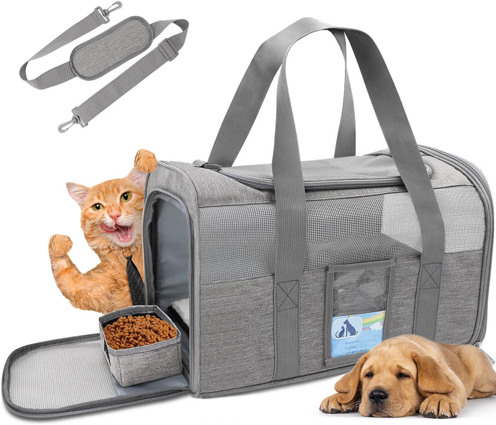 Refrze cat carrier soft tote outer view highlights portable travel-ready design