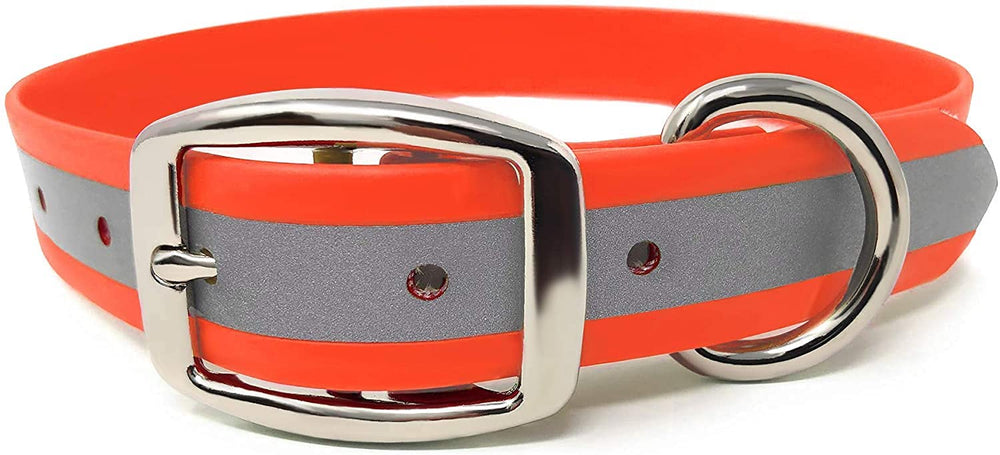 Regal Dog Products large orange reflective collar enhances night visibility for dogs