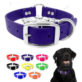 Regal Dog Products medium purple collar with double buckle for secure fit