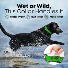 Regal Dog Products vinyl-coated waterproof collar beach scene highlights moisture resistance and easy cleaning.