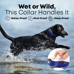 Regal Dog Products vinyl-coated collar demonstrates waterproof protection during outdoor adventures.