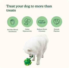 Reggie Forager Ball foraging action while dogs sniff, unroll, and hunt treats.