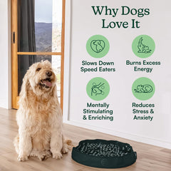 Reggie Stimulating Feeder Mat provides dog enrichment through interactive sniffing and loops.