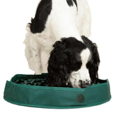 Reggie Stimulating Feeder Mat with foraging loops boosts mental engagement during meals.