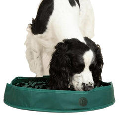 Reggie Stimulating Feeder Mat with foraging loops boosts mental engagement during meals.