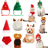 Reginary Christmas cat hat red and white—festive photo-ready look for pets
