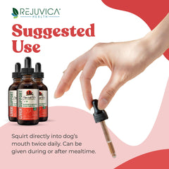 Rejuvica Health artichoke leaf image shows a liver-friendly herbal ingredient