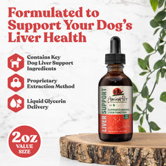 Rejuvica Health dropper enables quick, stress-free dosing for dogs