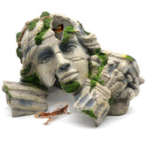 relaqcc reptile cave hideout entrance demonstrates natural shelter for stress-free hiding