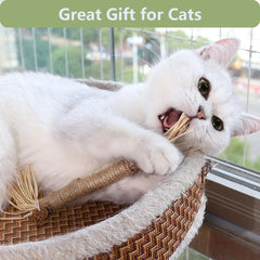 RELONGGI silvervine sticks easy-grip design ideal for tossing and chasing