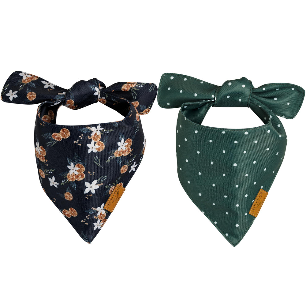 Remy+Roo two-pack dog bandanas packaging and design for gifting