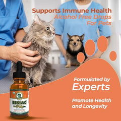 Rene's Naturals Essiac organic herbs blend emphasizing antioxidant-rich formula