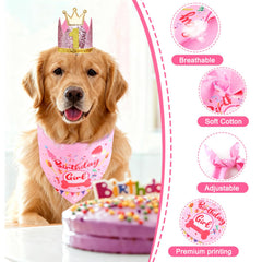 Rensh birthday numbers pack highlights customizable age for cute photos.