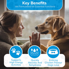 Replenish Dog Recovery Water Supplement chicken-flavor-mixed encourages dogs to drink more