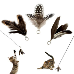Repounce feather toys replacements 3pc – close-up of natural feathers for engaging kitten hunts.