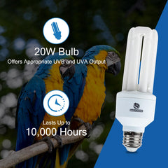 REPTI HOME 20W UVB bulb provides stable UVB output for healthier calcium metabolism.