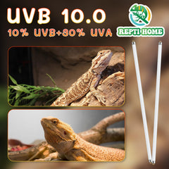 REPTI HOME T5 UVB light provides stable UVB and UVA output daily.