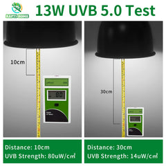 REPTI HOME UVB 5.0 con UVB y UVA, soporte para salud ósea