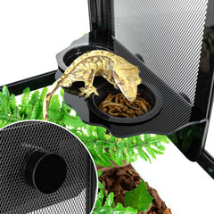 REPTI ZOO six cups for gecko feeder provide multiple feeding options