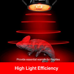 REPTI ZOO G9 bearded dragon terrarium setup demonstrates steady infrared warmth
