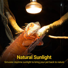REPTI ZOO heat lamp UVA spectrum mimics sunrise and sunset for natural behavior.
