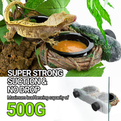 REPTI ZOO hollow vine food dish adds natural dining spot in terrarium