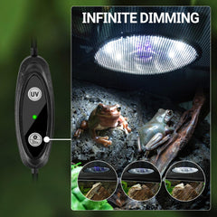 REPTI ZOO UVB light desert mode setting delivering UVB10.0 for desert reptiles.
