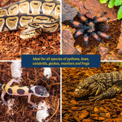 ReptiCasa Coconut Chips Substrate humidity-balance close-up shows steady moisture for comfortable habitats.