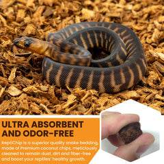 Reptichip Premium Coconut Substrate terrarium setup supports geckos and ball pythons.