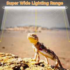 Turtle habitat illuminated by REPTIDLDB UVB lamp for healthier shell and glow.