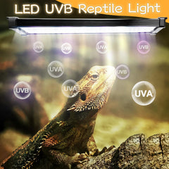 REPTIDLDB UVB light full-spectrum rays support natural behaviors and coloration during basking