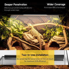 ReptiKing desert-dwelling reptile setup with UVB illumination supporting natural basking behavior.