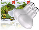 ReptiKing heat bulb 100W daylight basking for bearded dragon thermoregulation and daytime activity.