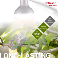 ReptiKing 100W UV A heat lamp setup for turtle and gecko daytime sunning.