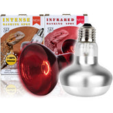 ReptiKing heat lamp 75W intense basking glow supports reptile thermoregulation.