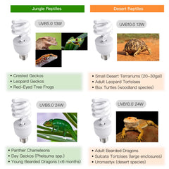 ReptiKing UVB light with an E26 base connects securely in standard fixtures