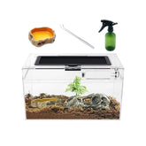 Reptile Growth Mini Terrarium front view shows clear visibility for easy monitoring