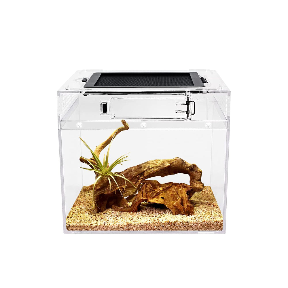 Reptile Growth mini terrarium full-view offers clear visibility for easy pet observation.