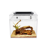 Reptile Growth mini terrarium full-view offers clear visibility for easy pet observation.