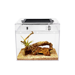 Reptile Growth mini terrarium full-view offers clear visibility for easy pet observation.