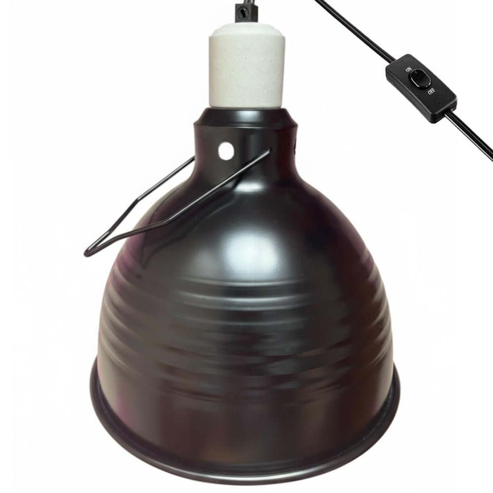 Reptilux 8.5-inch deep dome interior view for precise heat and UVB distribution in basking zones
