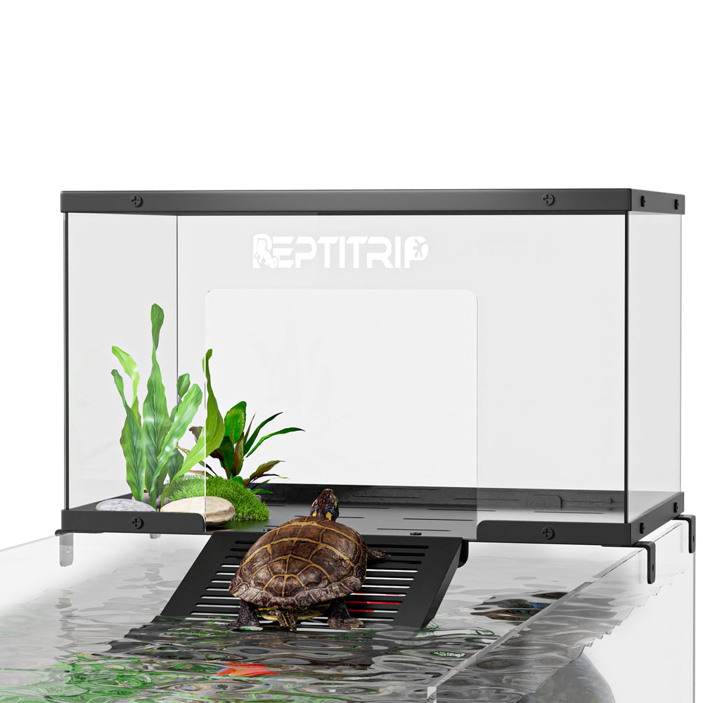 REPTITRIP turtle basking-platform-wide-view shows compatibility with 10-13 inch tanks