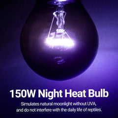REPTIZOO purple-coated surface emitting soft night glow