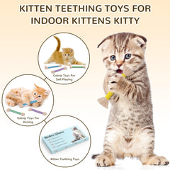 Retro Shaw refillable catnip bags showing natural catnip and silvervine for enticing play.