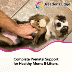 Breeder Edge Oxy Mate soft chews close-up, an easy daily treat-style prenatal supplement.